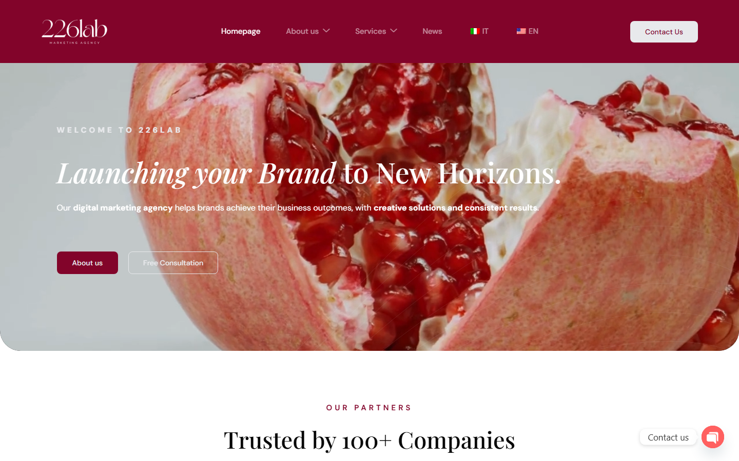 Startseite von 226Lab GmbH, SEO-Agentur in Lugano