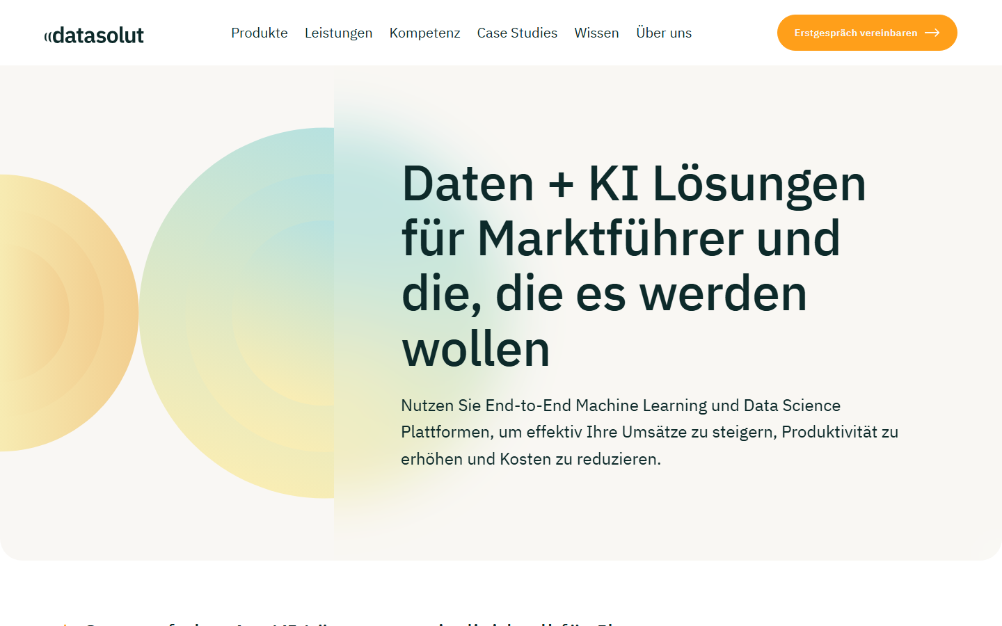 Startseite von Datasolut GmbH, KI-Agentur in Köln