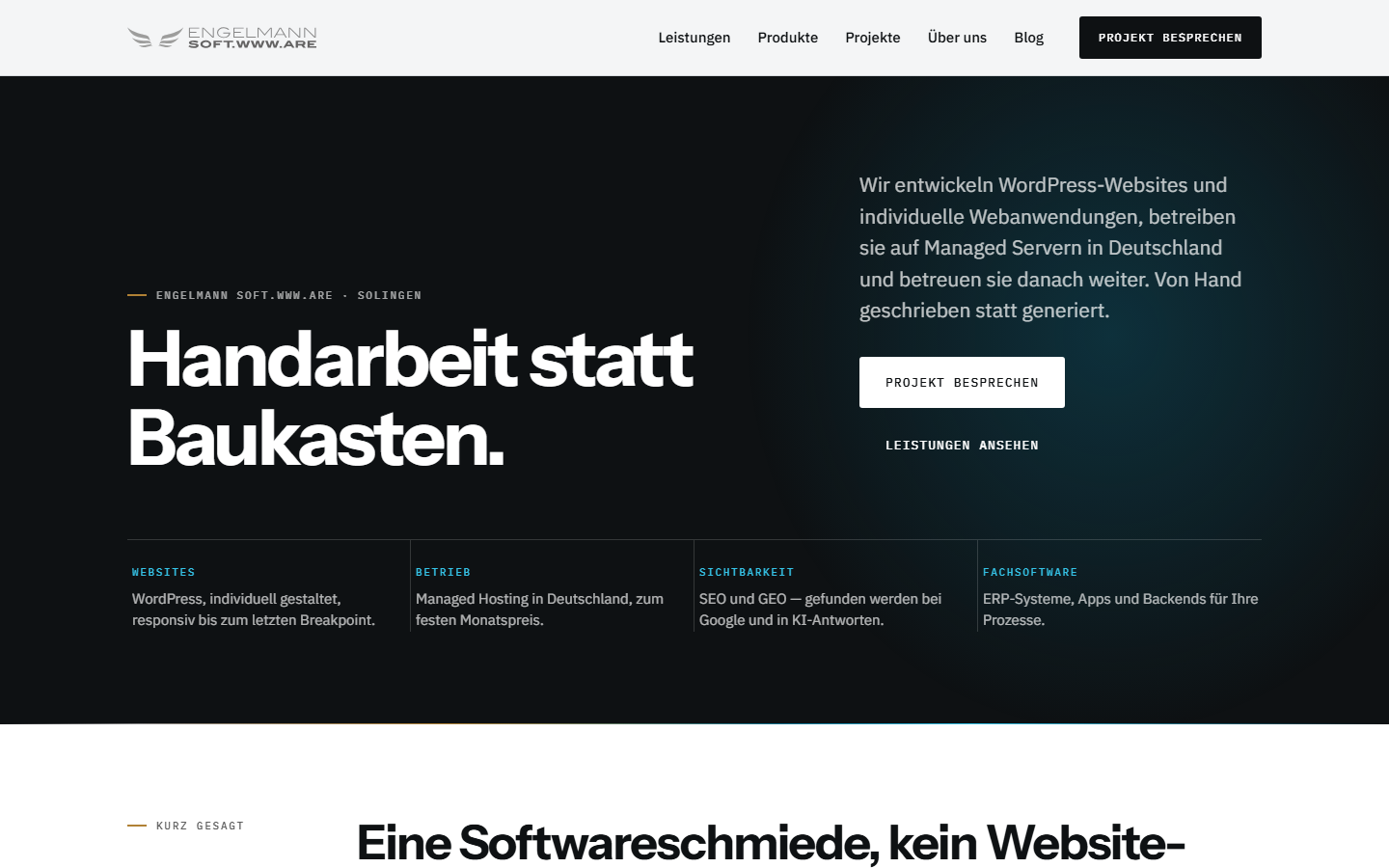 Startseite von engelmann soft.www.are UG, SEO-Agentur in Solingen