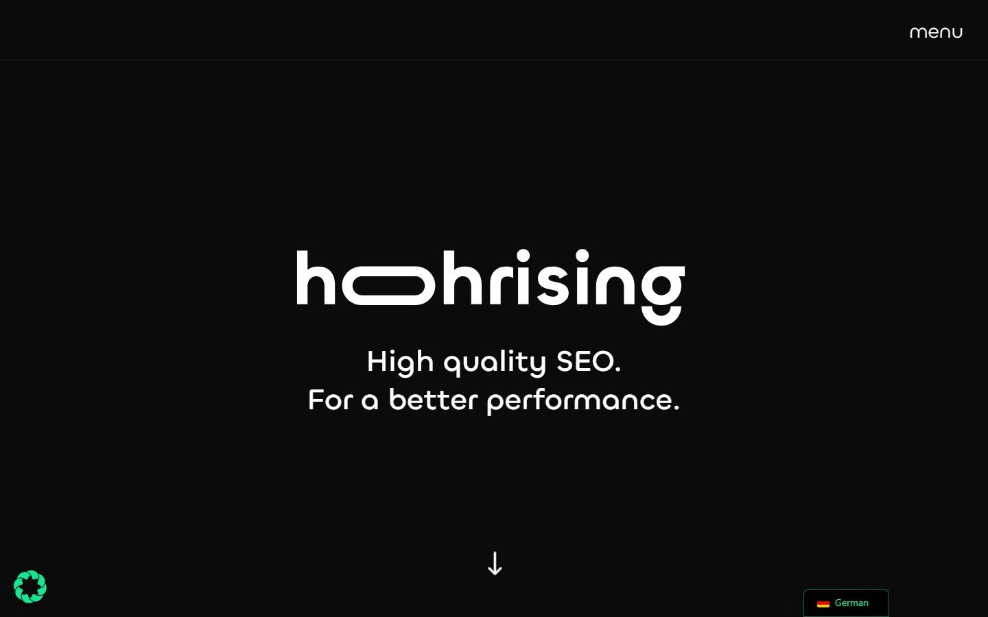 Startseite von hohrising, SEO-Agentur in Mainz