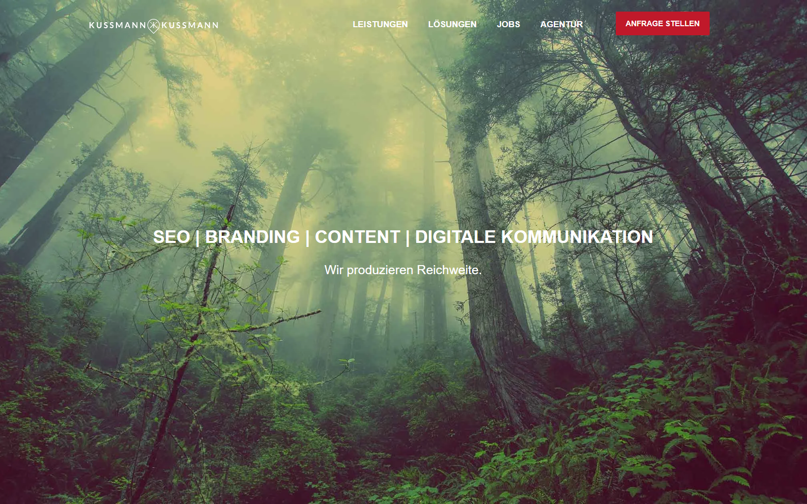 Startseite von Kussmann, SEO-Agentur in Ulm