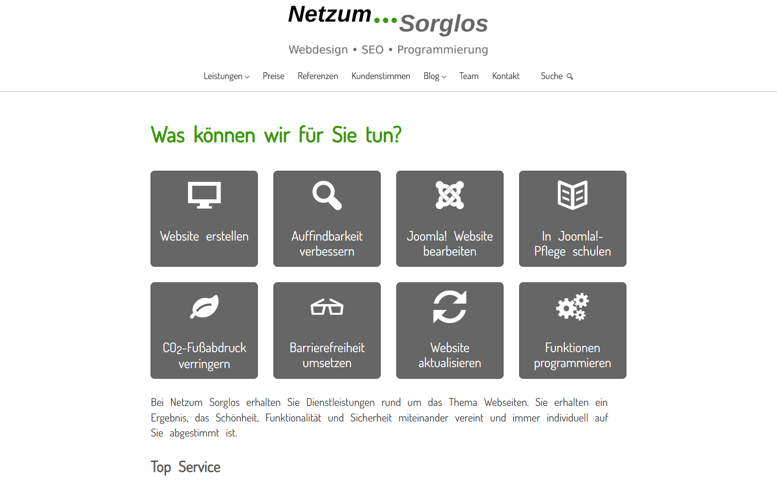Startseite von Netzum Sorglos Software GmbH, SEO-Agentur in Herne