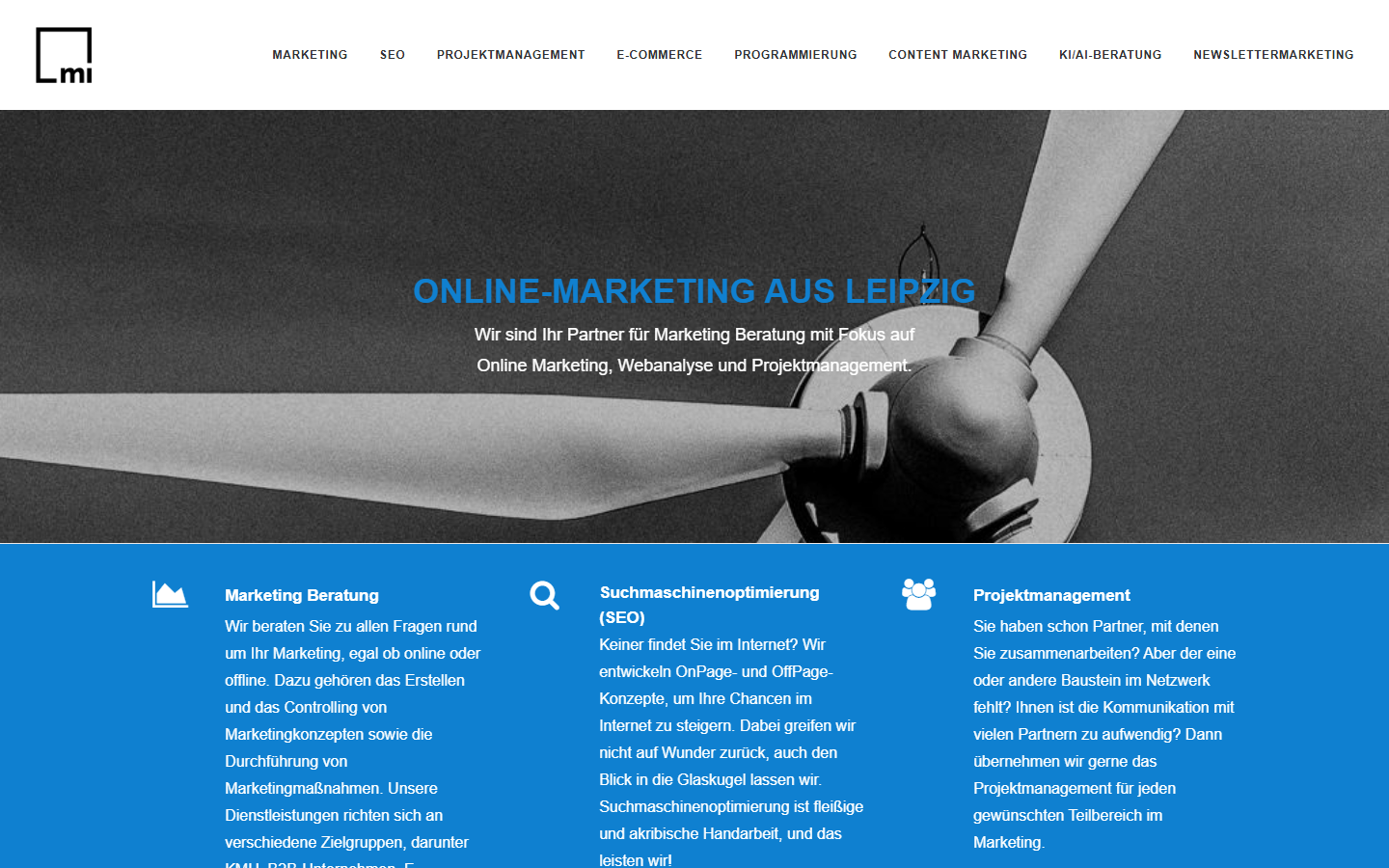 Startseite von Online Marketing – Wagner & Klabes GbR, SEO-Agentur in Sachsen