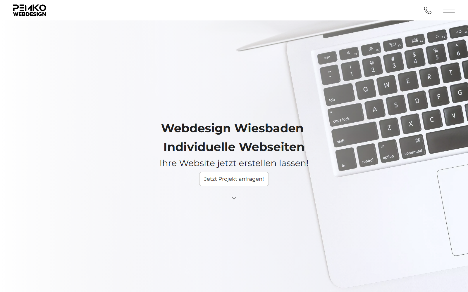 Startseite von Pemko Webdesign, SEO-Agentur in Wiesbaden