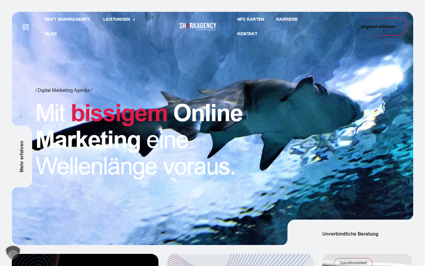 Startseite von SharkAgency GmbH, SEO-Agentur in Baar