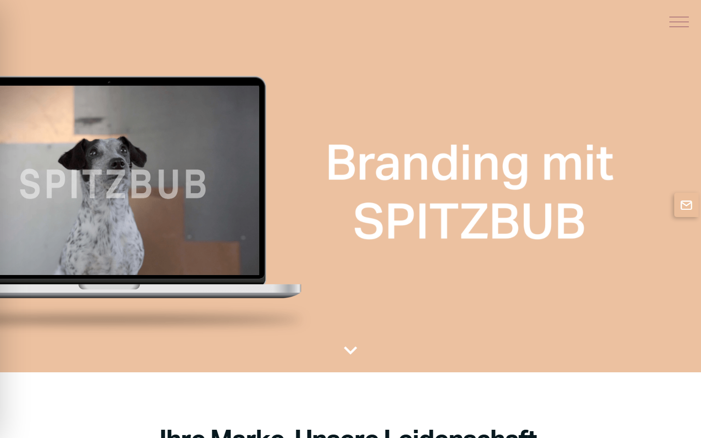 Startseite von SPITZBUB, SEO-Agentur in Braunschweig