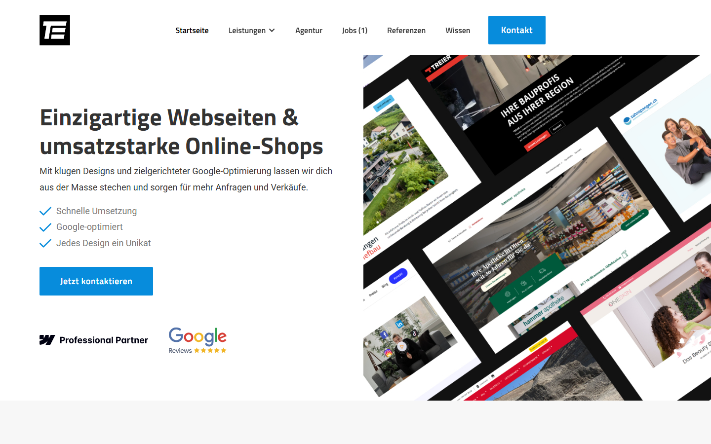 Startseite von TE Web, SEO-Agentur im Aargau