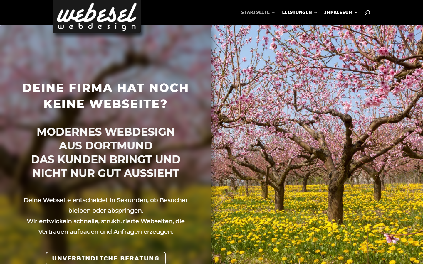 Startseite von Webesel Webdesign, SEO-Agentur in Dortmund