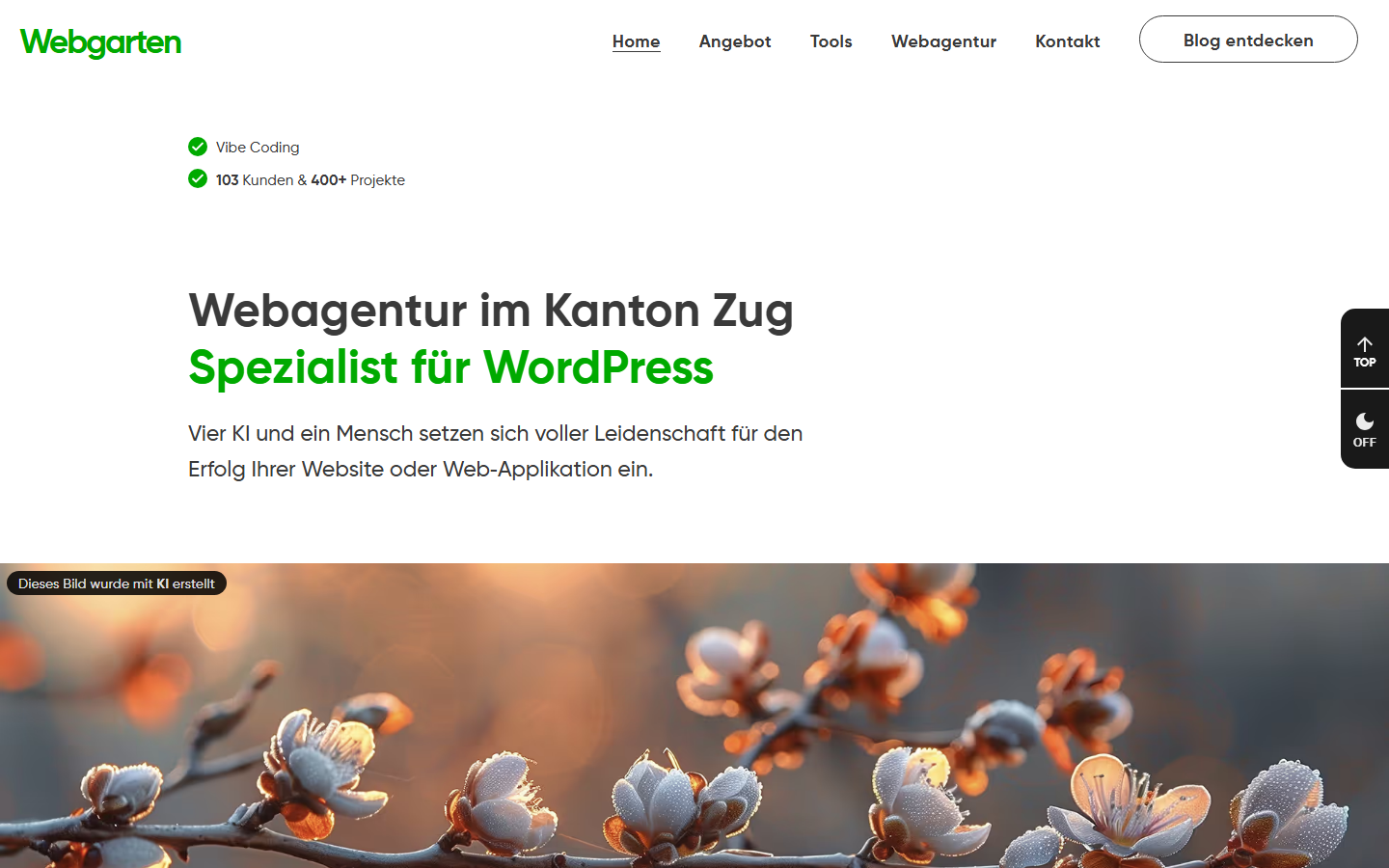 Startseite von Webgarten GmbH, SEO-Agentur in Baar