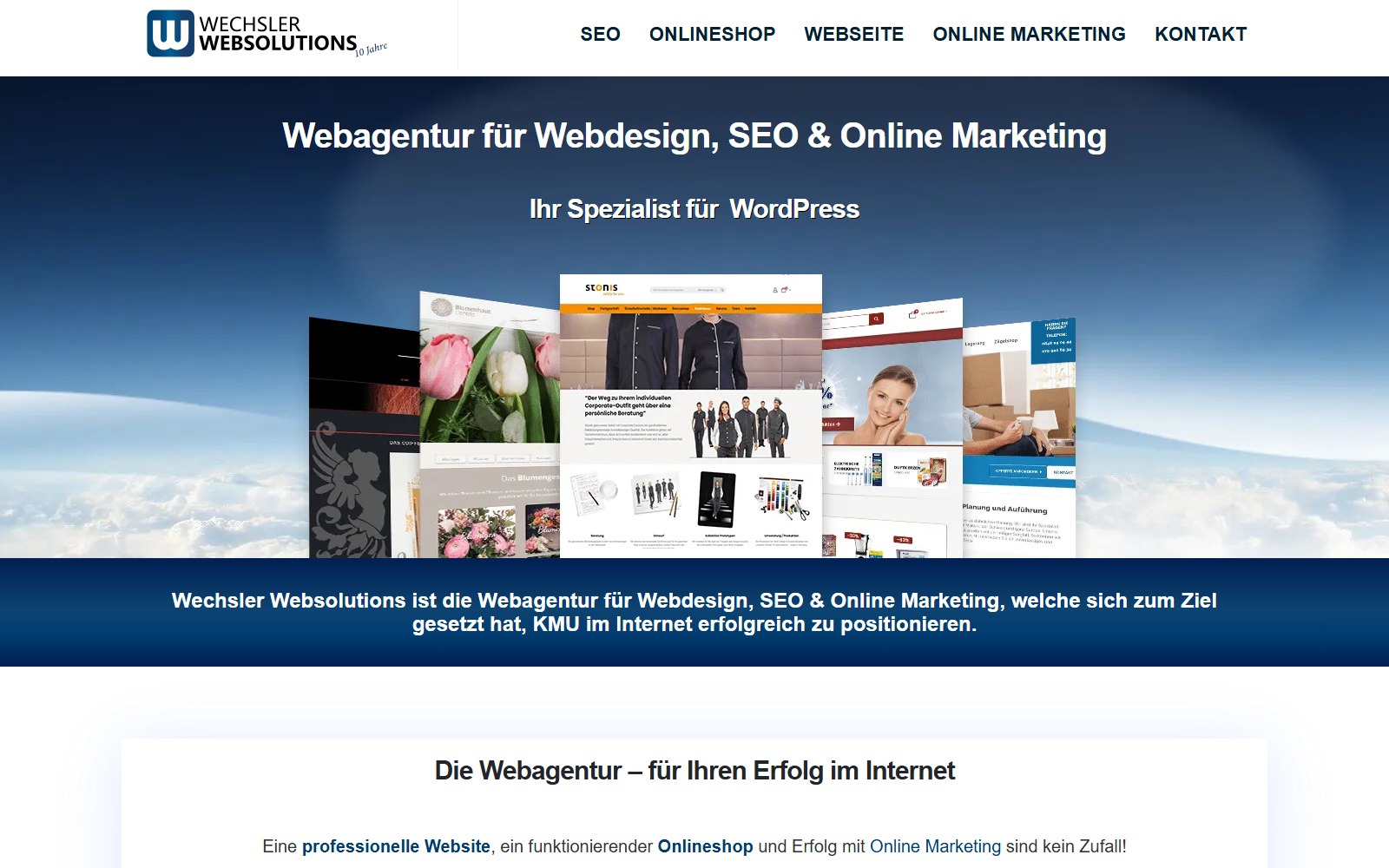 Startseite von WECHSLER-WEBSOLUTIONS, Webdesign und Seo-Agentur, SEO-Agentur in Luzern