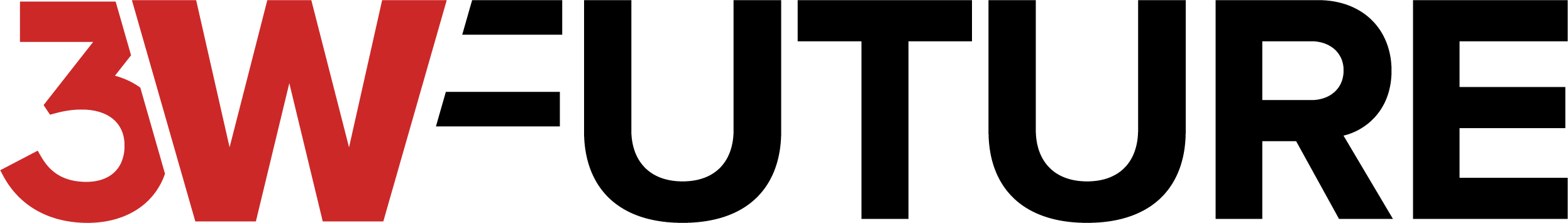 3W FUTURE Logo