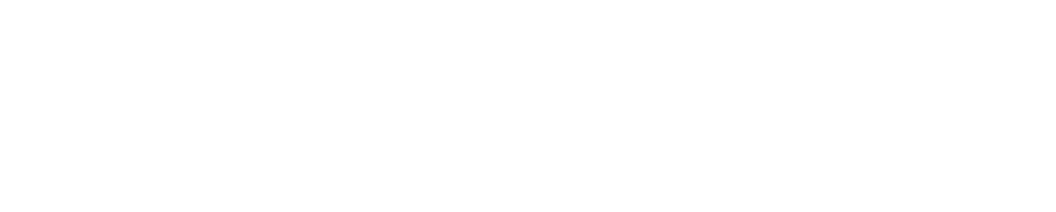 Ganssimpel | Gänsehaut garantiert. | Werbe- & Praxisagentur Schaffhausen Logo