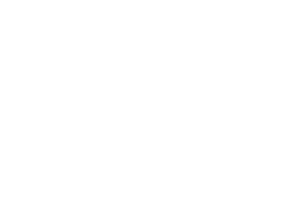 WellCom Advertising AG Logo