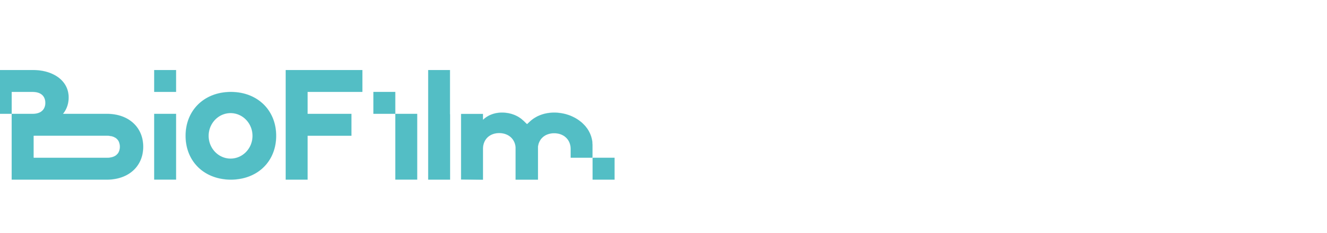 BioFilm Videoproduktion Logo