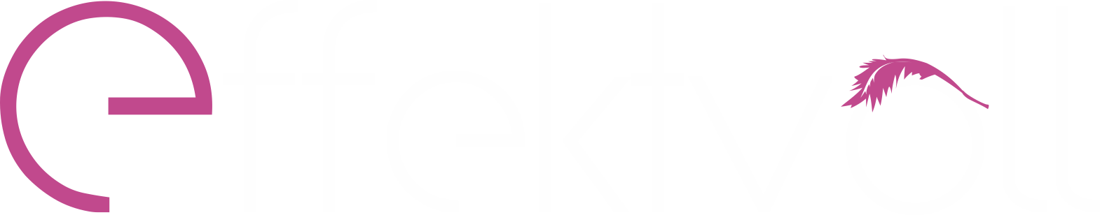effektvoll - Webdesign & Onlinemarketing Logo