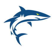 Webagentur Websharks Schweiz Logo