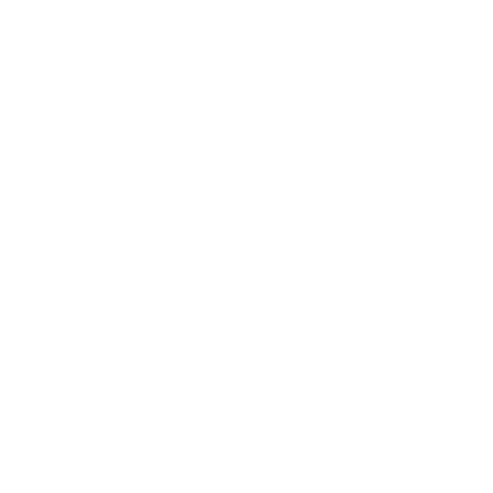 PAKU Media - Digitales Marketing Logo