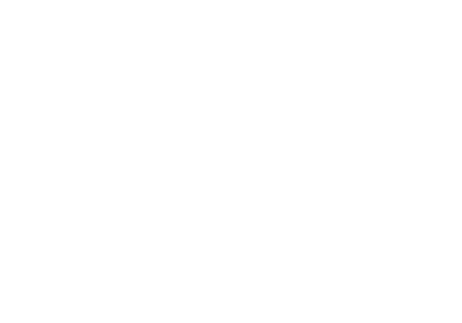 LionBST GmbH & Co. KG Logo