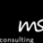 MS Consulting Logo