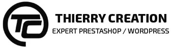 Thierry Création Logo
