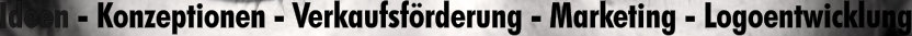 D.V.S WERBUNG GmbH Logo