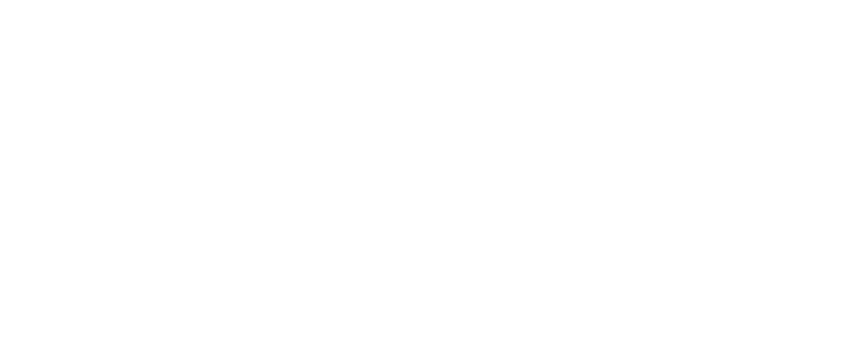 konvi.media Marketing Agentur | Daniela Lang Logo