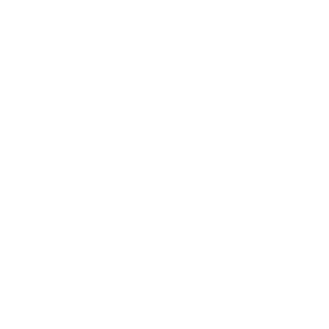 Agentur Sander Logo