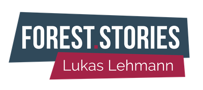 Forest Stories | Podcast & Content Studio in Freiburg Logo