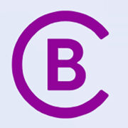 BerzConsulting - Agentur für Praxismarketing Logo