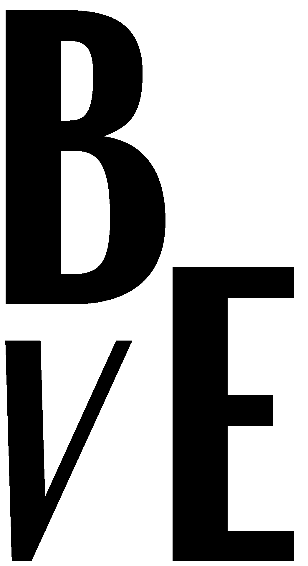 Bausch van Ee Design Logo