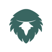 Dibra Digital Logo
