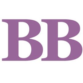 Boris Bergmann . com GmbH Logo