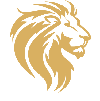 Lionfire Marketing | Webdesign & Social Media Logo