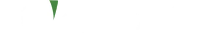 devolute Logo