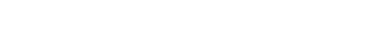Braunwagner GmbH Logo