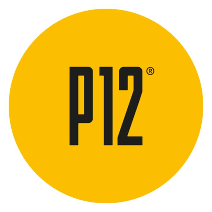 P12 Werbeagentur GmbH Logo