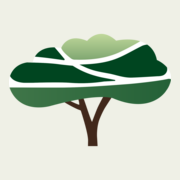 Mediadschungel Logo