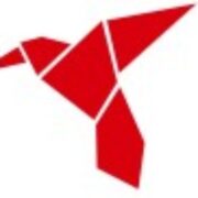 Raven51 AG - Berlin Logo