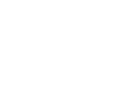 WerbeFranz Webdesign aus Dresden Logo