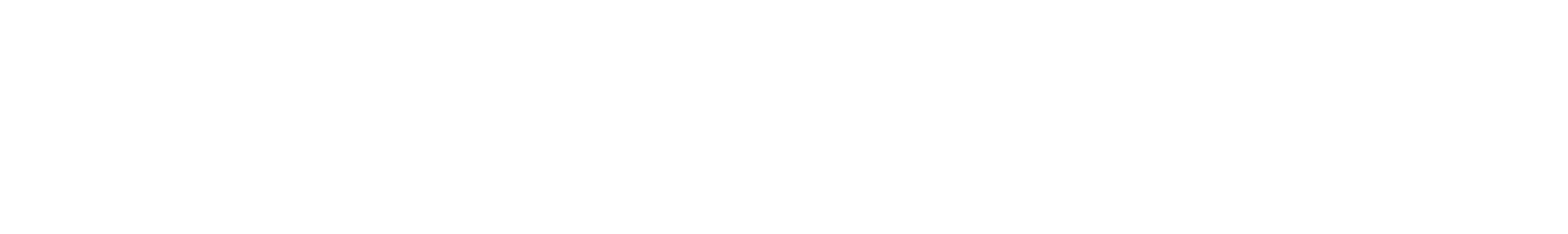standpunkt digital GmbH & Co. KG Logo