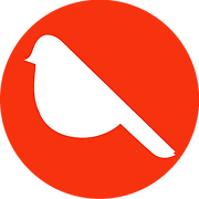 ROBIN Consulting GmbH Logo