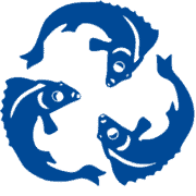 Zander Digital Services Deutschland GmbH Logo