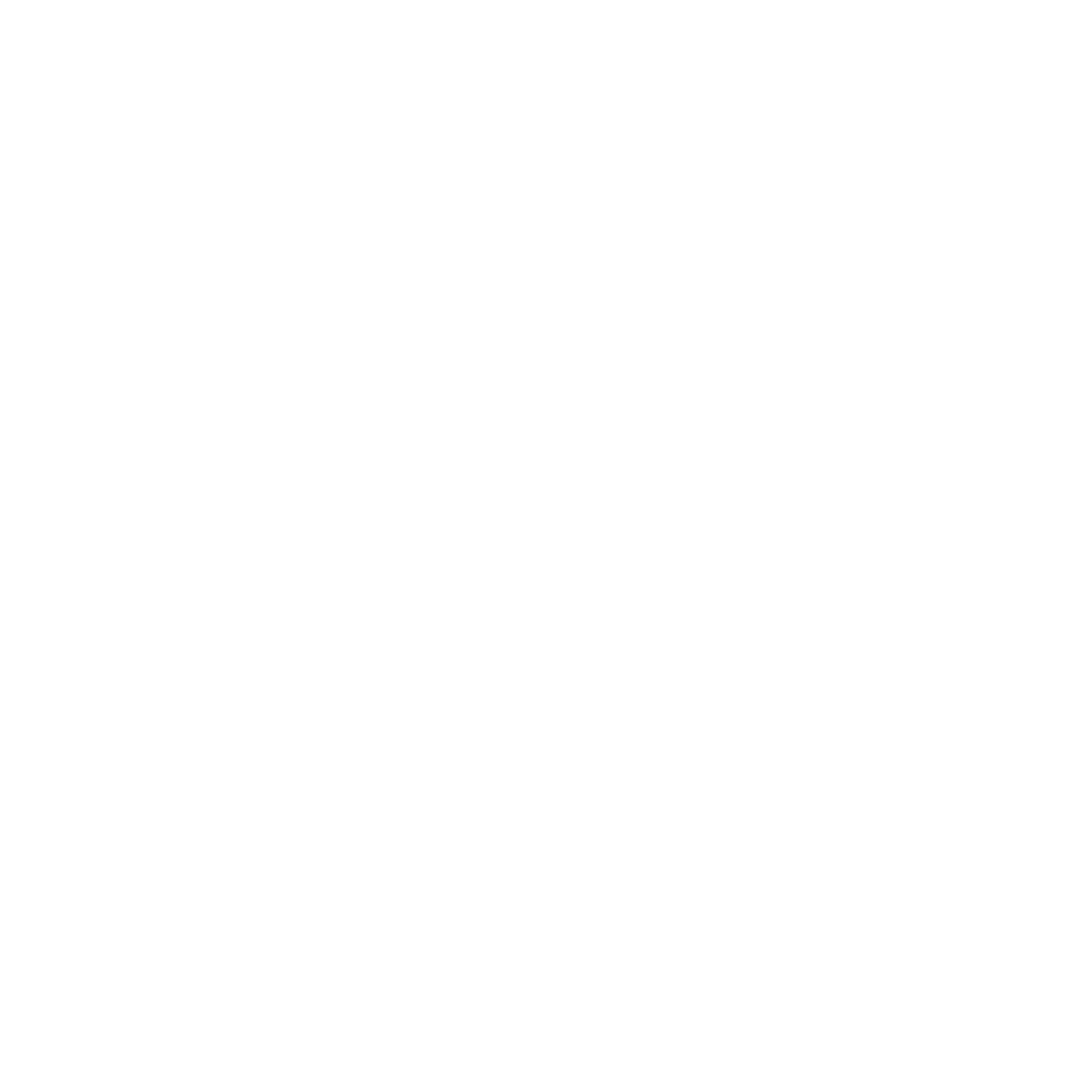 North Star Group Logo