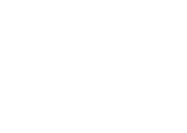 zwanzigelf marketing service GmbH Logo