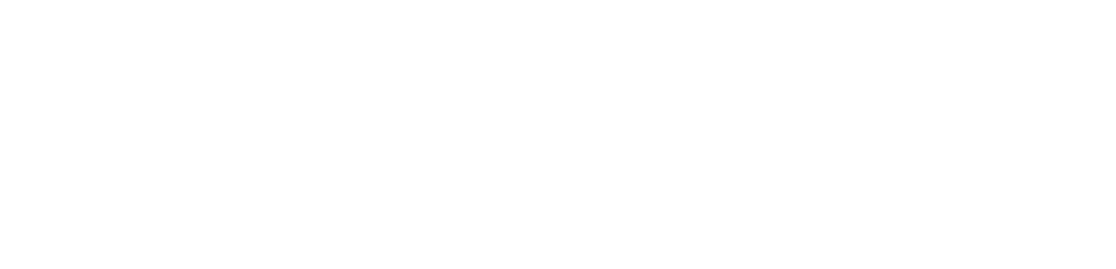 Videoproduktion Wiesbaden - Loriis Media Logo