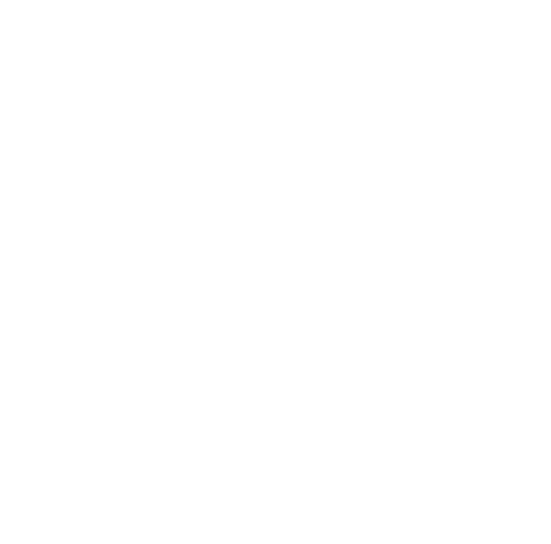 MR WOLF Consulting Logo
