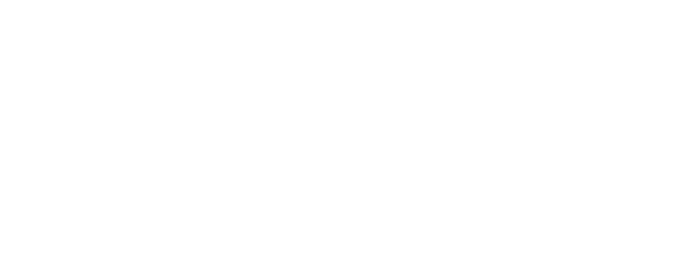 The Platform Group GmbH & Co. KG Logo