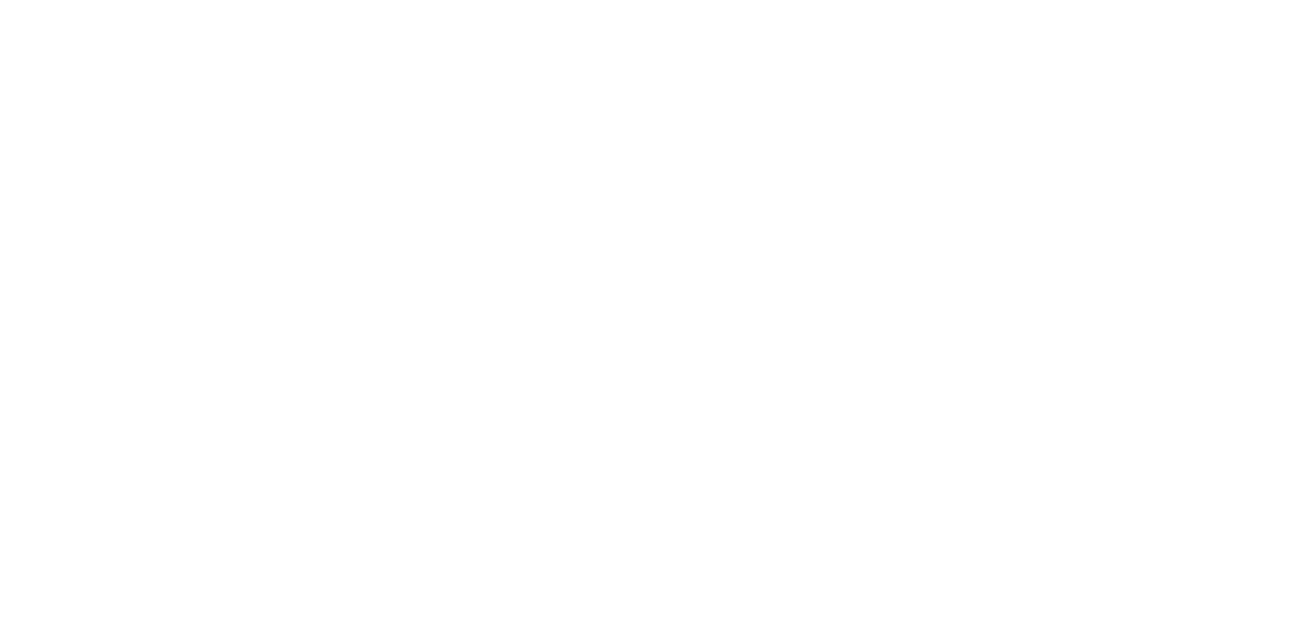 DCMN GmbH Logo