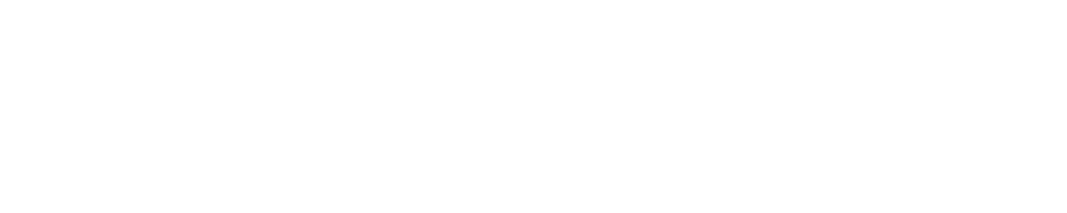 Webfair Logo