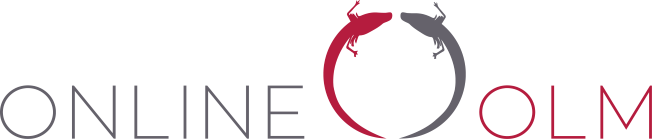 ONLINE - OLM | Webdesign & Beratung Logo
